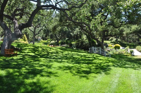 Enlarge photo 22