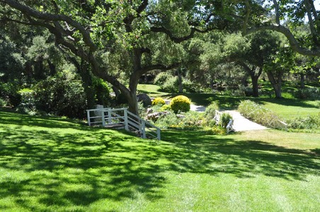 Enlarge photo 23