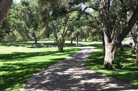 Enlarge photo 25