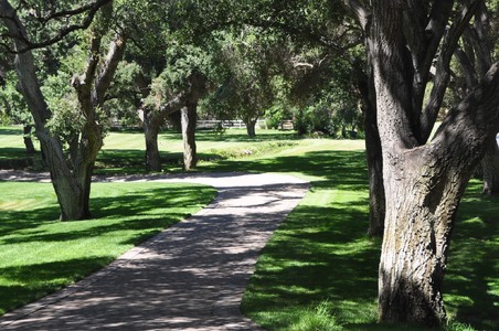 Enlarge photo 26