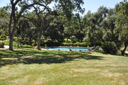 Enlarge photo 34