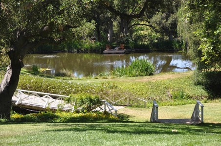 Enlarge photo 37