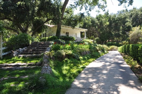 Enlarge photo 40