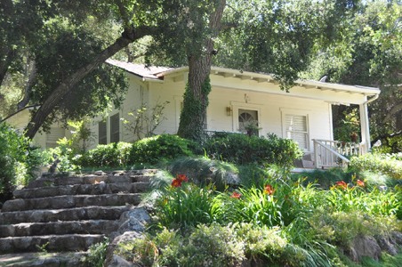 Enlarge photo 41