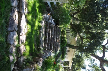 Enlarge photo 44