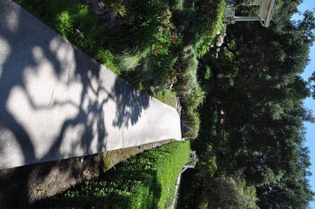 Enlarge photo 46