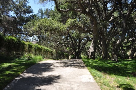 Enlarge photo 49