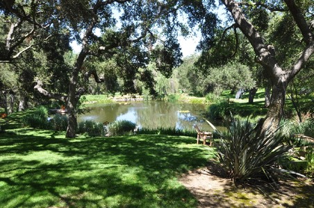 Enlarge photo 51