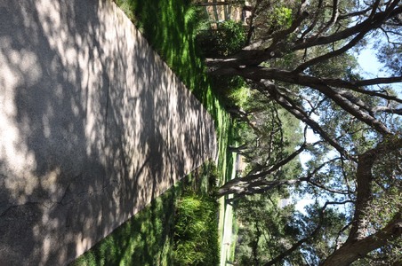 Enlarge photo 52
