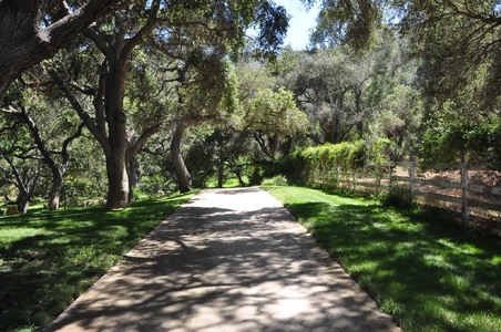 Enlarge photo 53