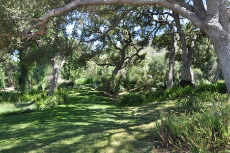 Enlarge photo 55