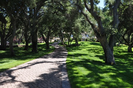 Enlarge photo 56