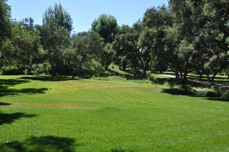Enlarge photo 59