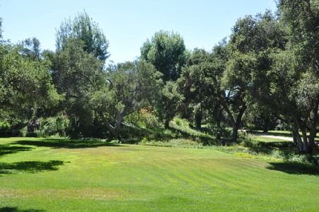 Enlarge photo 58