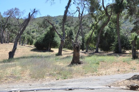 Enlarge photo 71