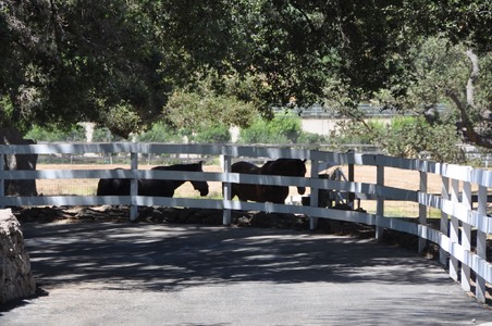 Enlarge photo 74