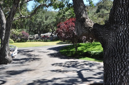Enlarge photo 78