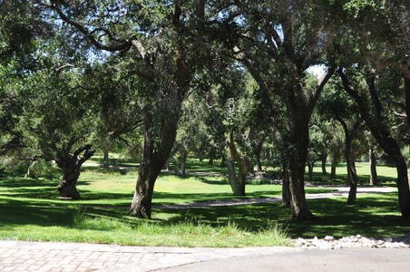Enlarge photo 83
