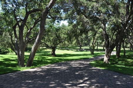 Enlarge photo 84