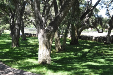 Enlarge photo 89