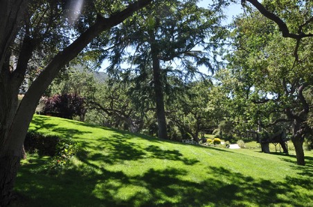 Enlarge photo 90