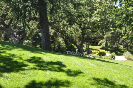 Enlarge photo 91