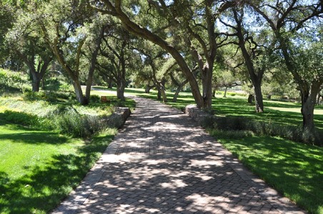 Enlarge photo 92
