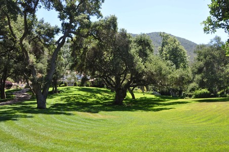 Enlarge photo 94