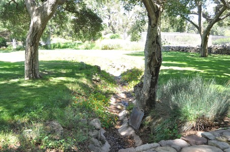 Enlarge photo 97