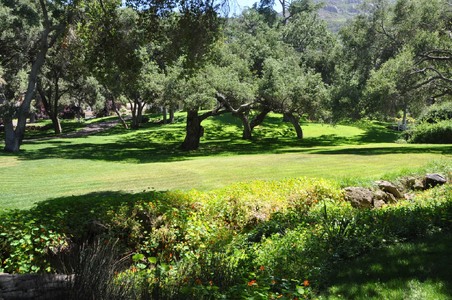 Enlarge photo 98