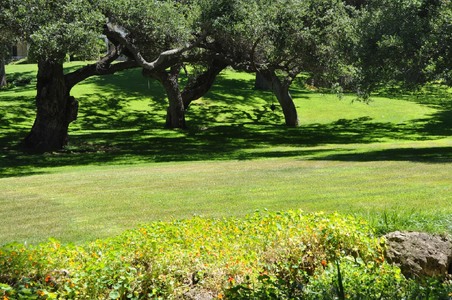 Enlarge photo 99