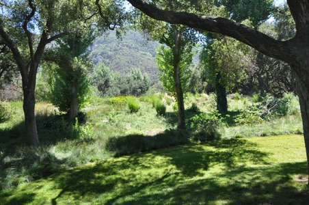 Enlarge photo 103