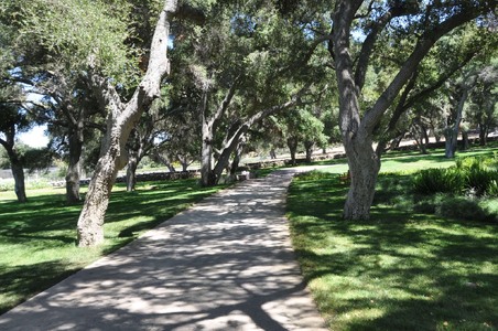 Enlarge photo 102