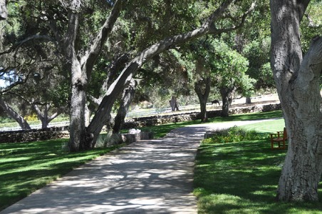 Enlarge photo 105