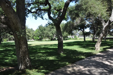 Enlarge photo 104