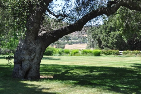 Enlarge photo 106
