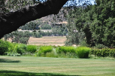 Enlarge photo 107