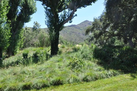 Enlarge photo 108