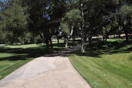Enlarge photo 109