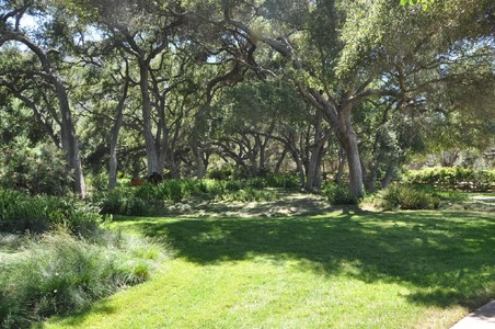 Enlarge photo 111