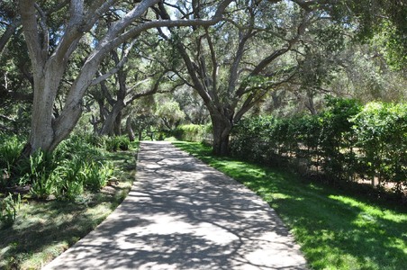 Enlarge photo 115