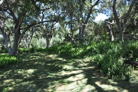 Enlarge photo 116