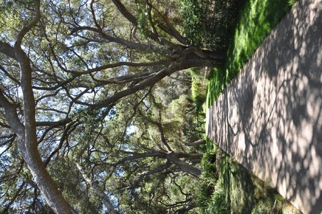Enlarge photo 117