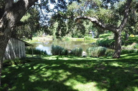 Enlarge photo 118