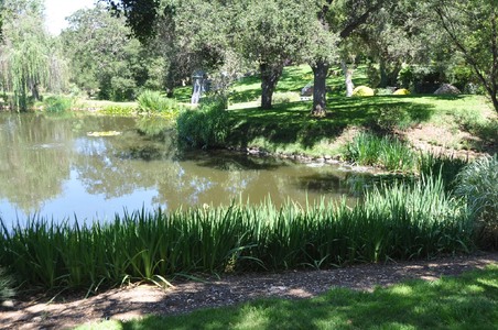 Enlarge photo 121