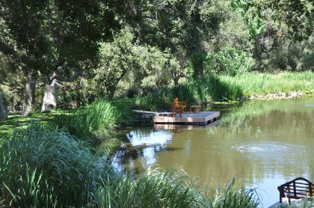 Enlarge photo 120