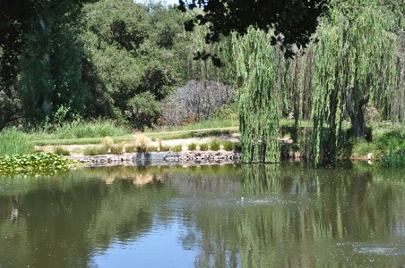 Enlarge photo 122