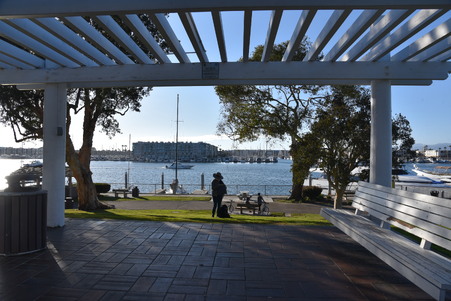 Enlarge photo 31