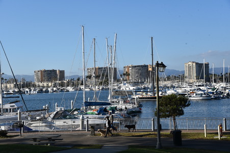 Enlarge photo 36
