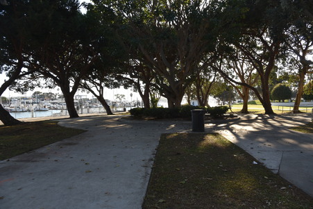 Enlarge photo 41